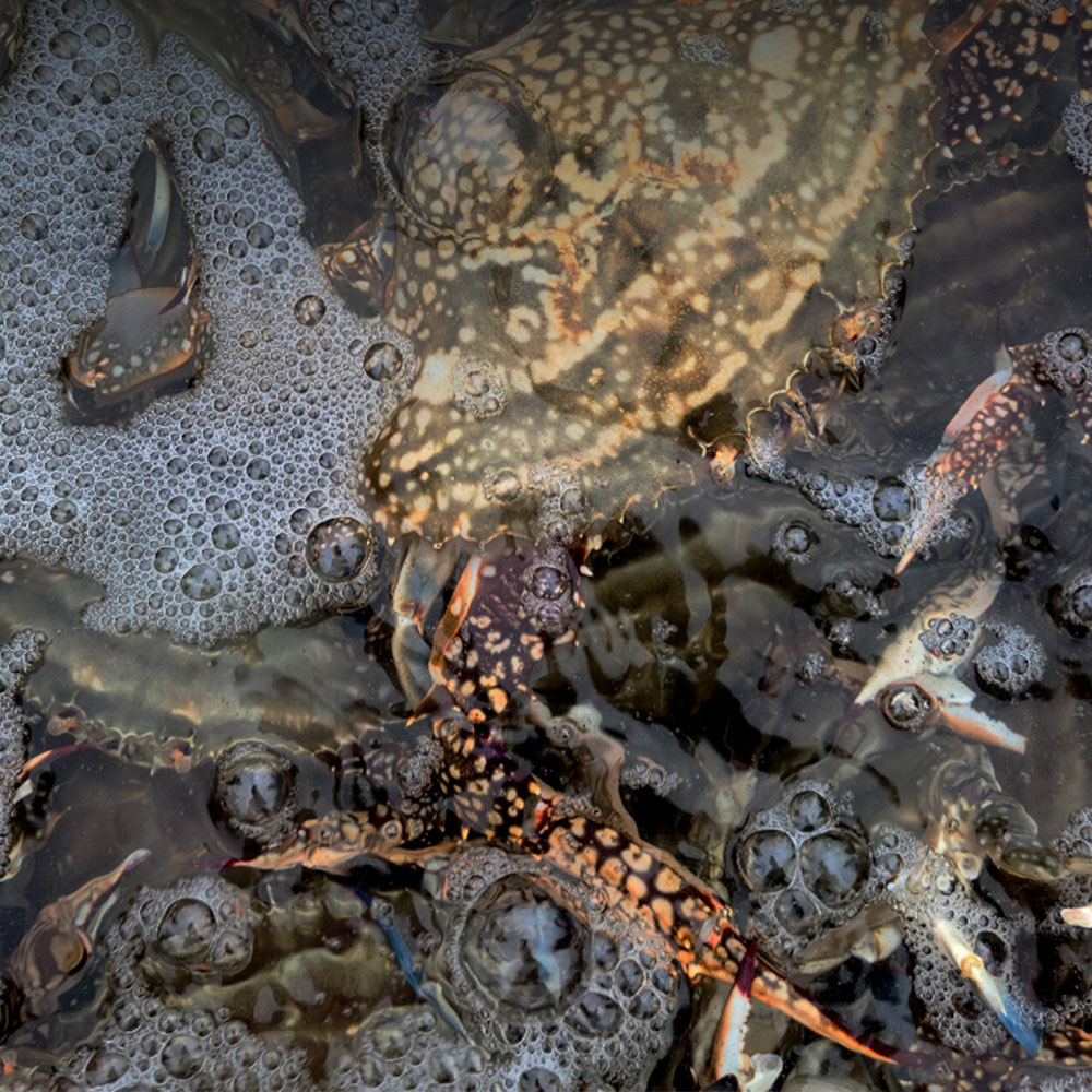 1661843866 thumbnail