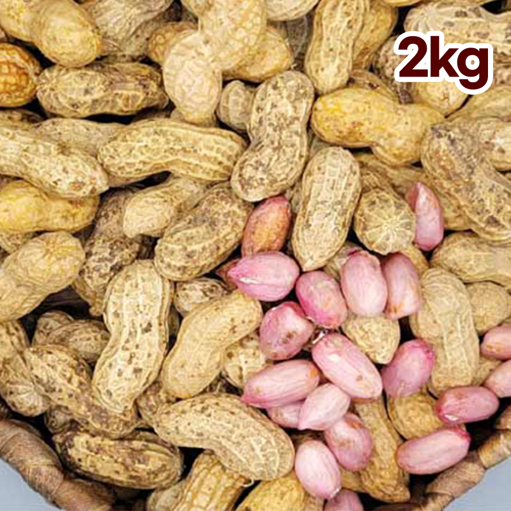 1662097796 thumbnail