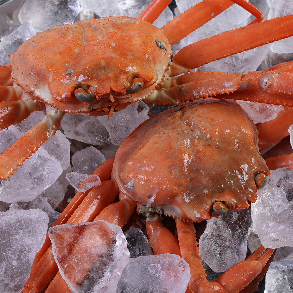 1662342369 thumbnail