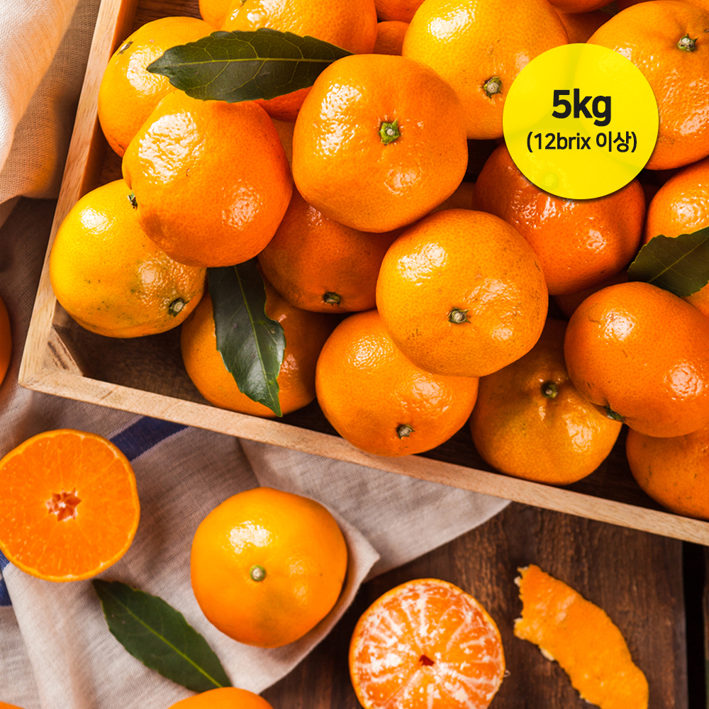 1662355156 thumbnail