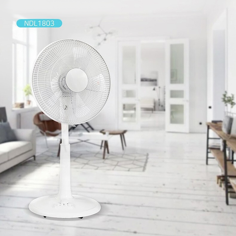 1662444437 thumbnail