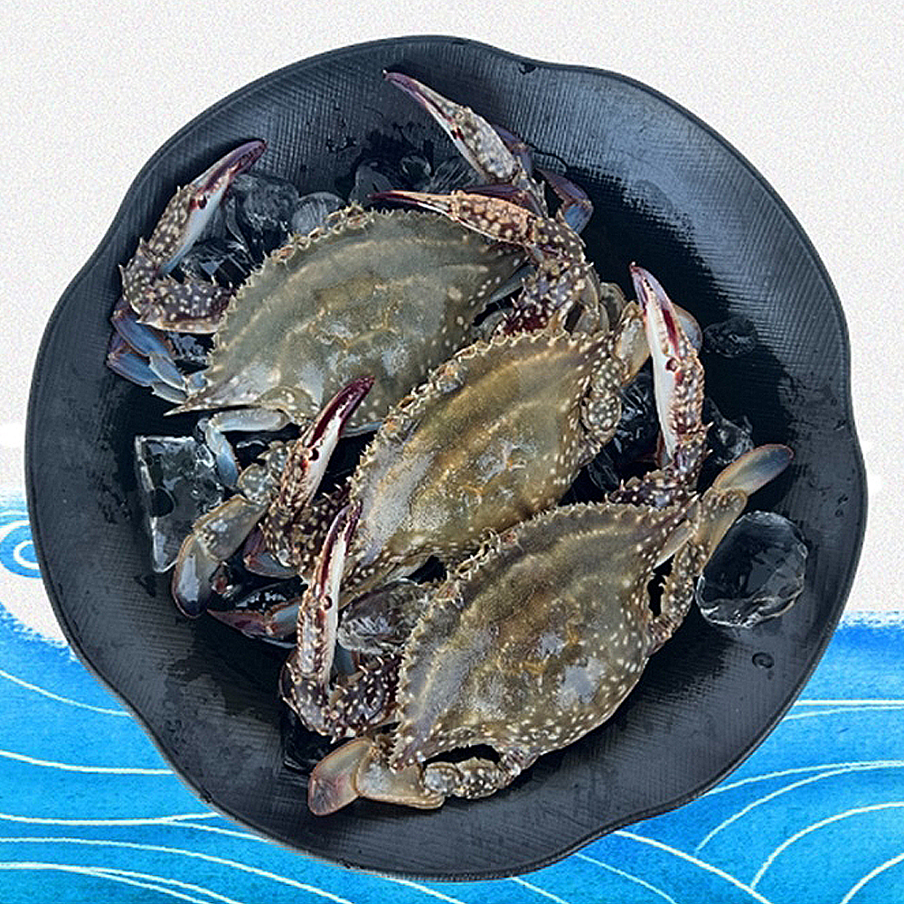 1662449523 thumbnail