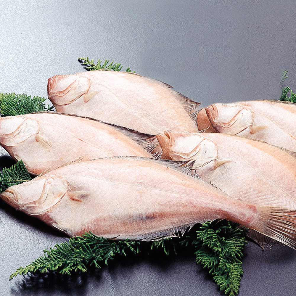 1663554377 thumbnail