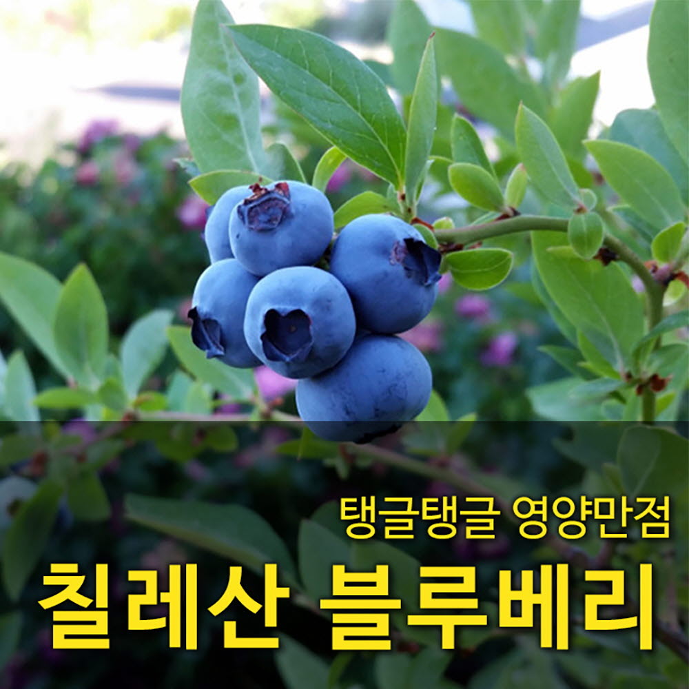 1663657900 thumbnail