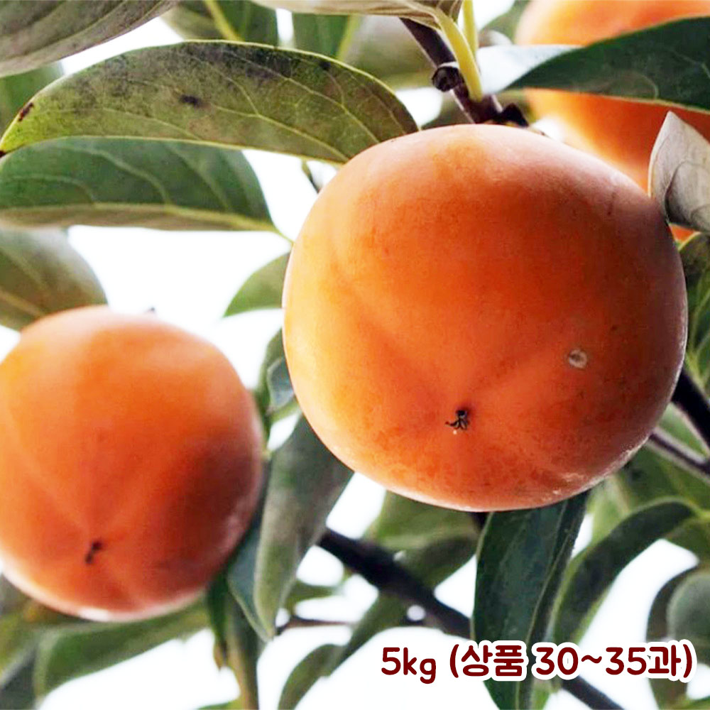 1663810439 thumbnail