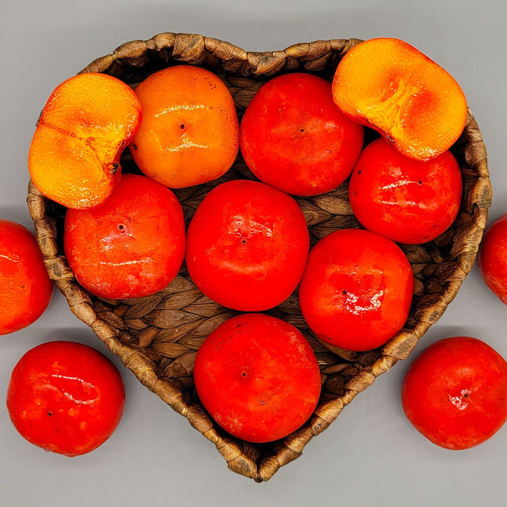 1663810445 thumbnail