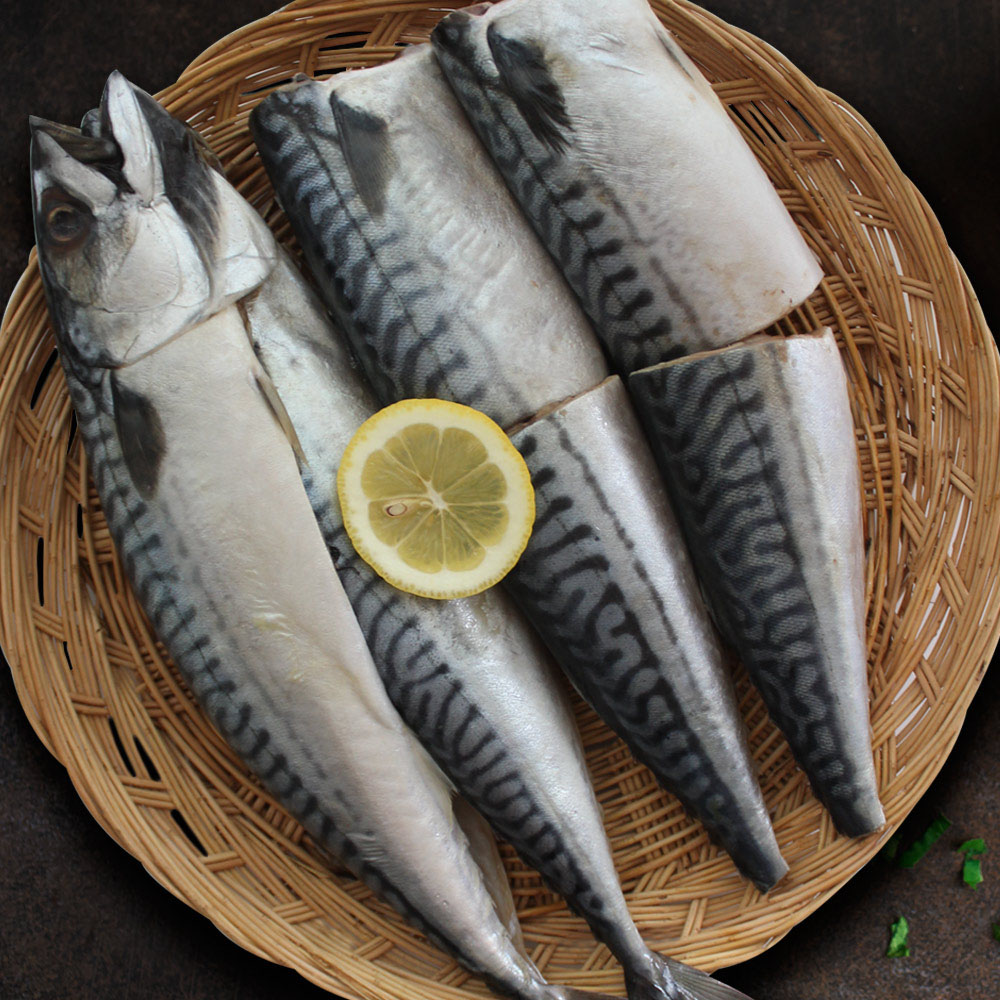 1663900648 thumbnail