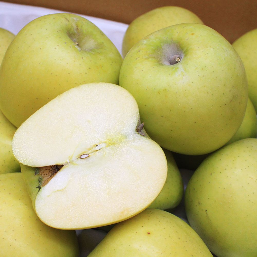 1664245498 thumbnail