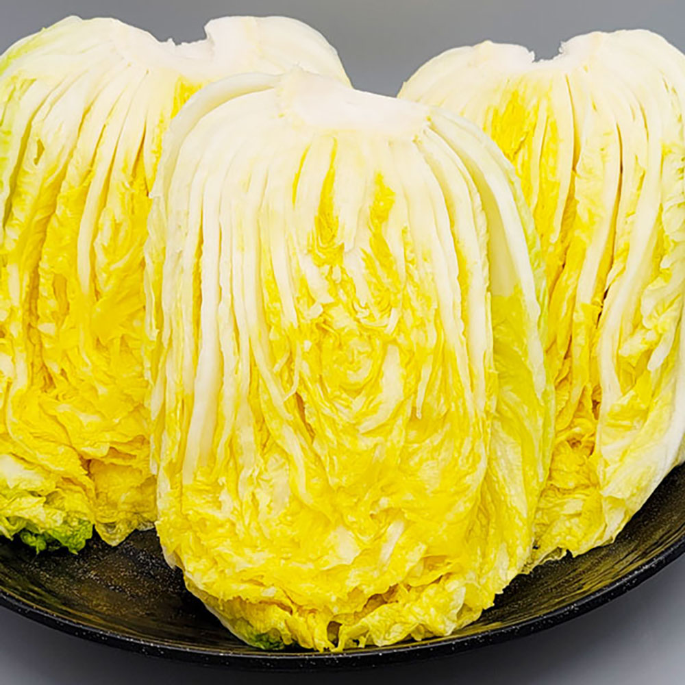 1664246267 thumbnail