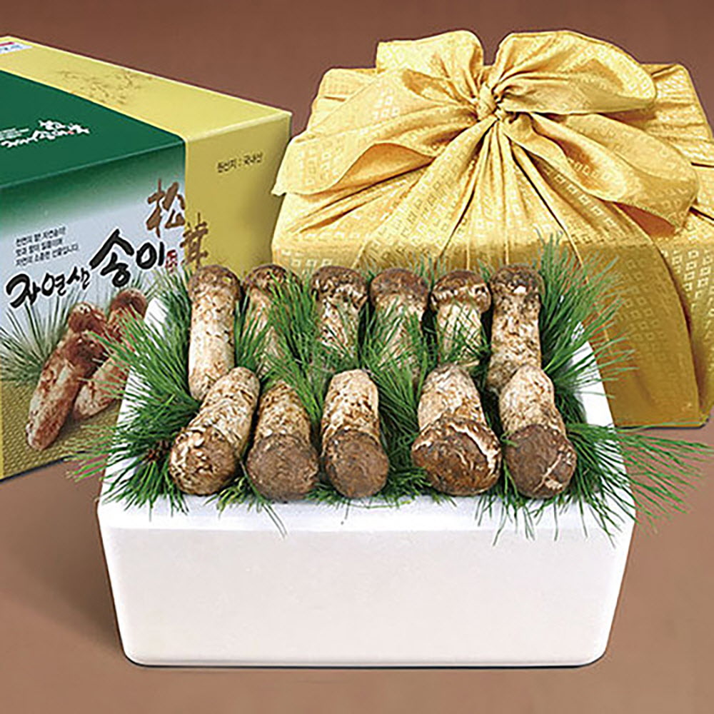 1664253132 thumbnail