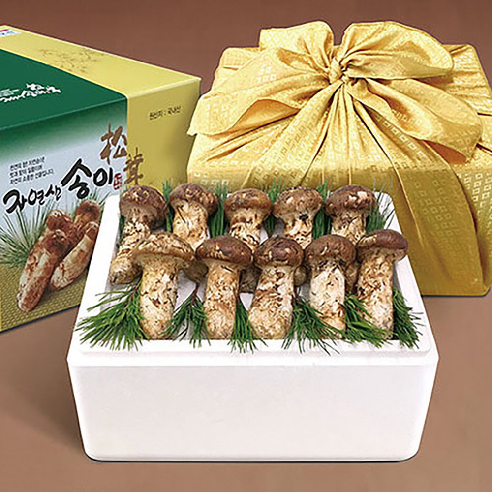 1664253134 thumbnail