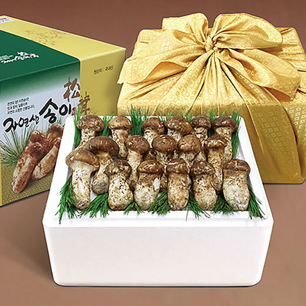 1664253136 thumbnail