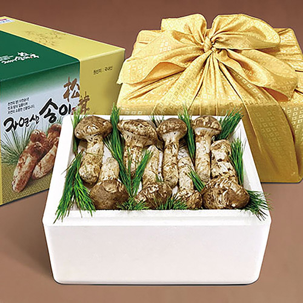 1664253138 thumbnail