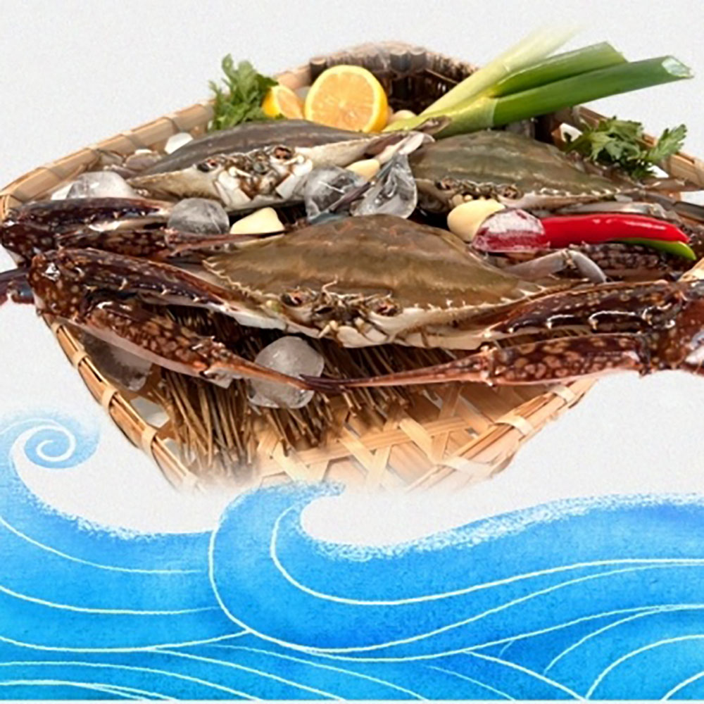 1664413310 thumbnail