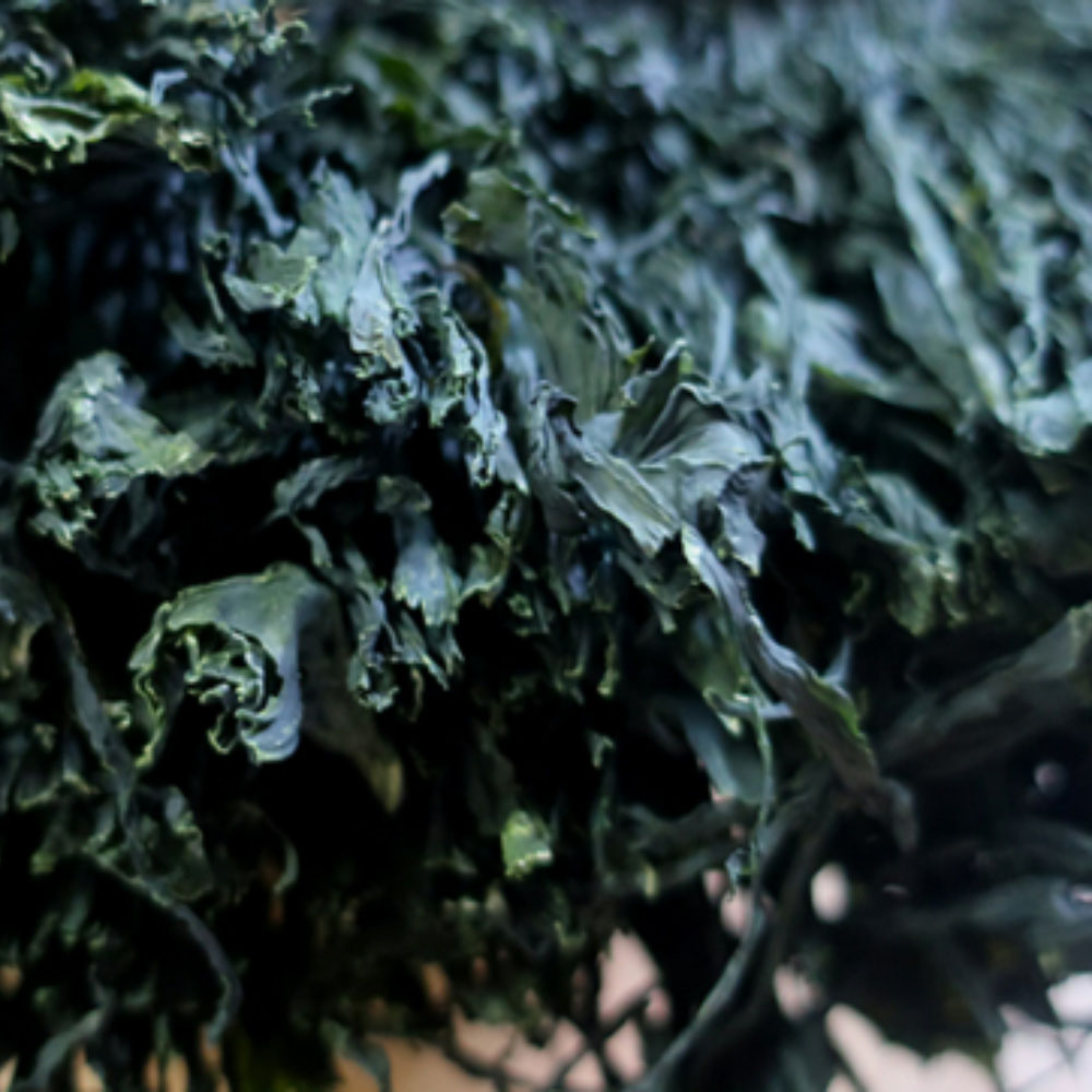 1665027127 thumbnail