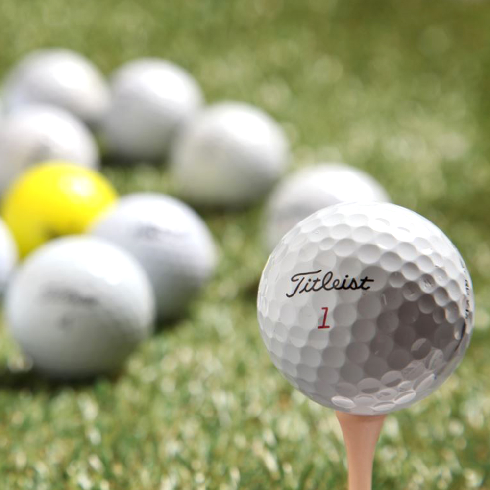 1665112606 thumbnail