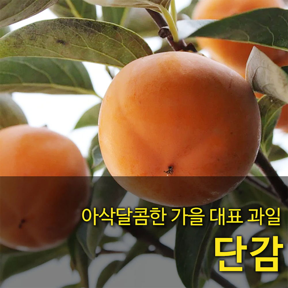 1665463089 thumbnail