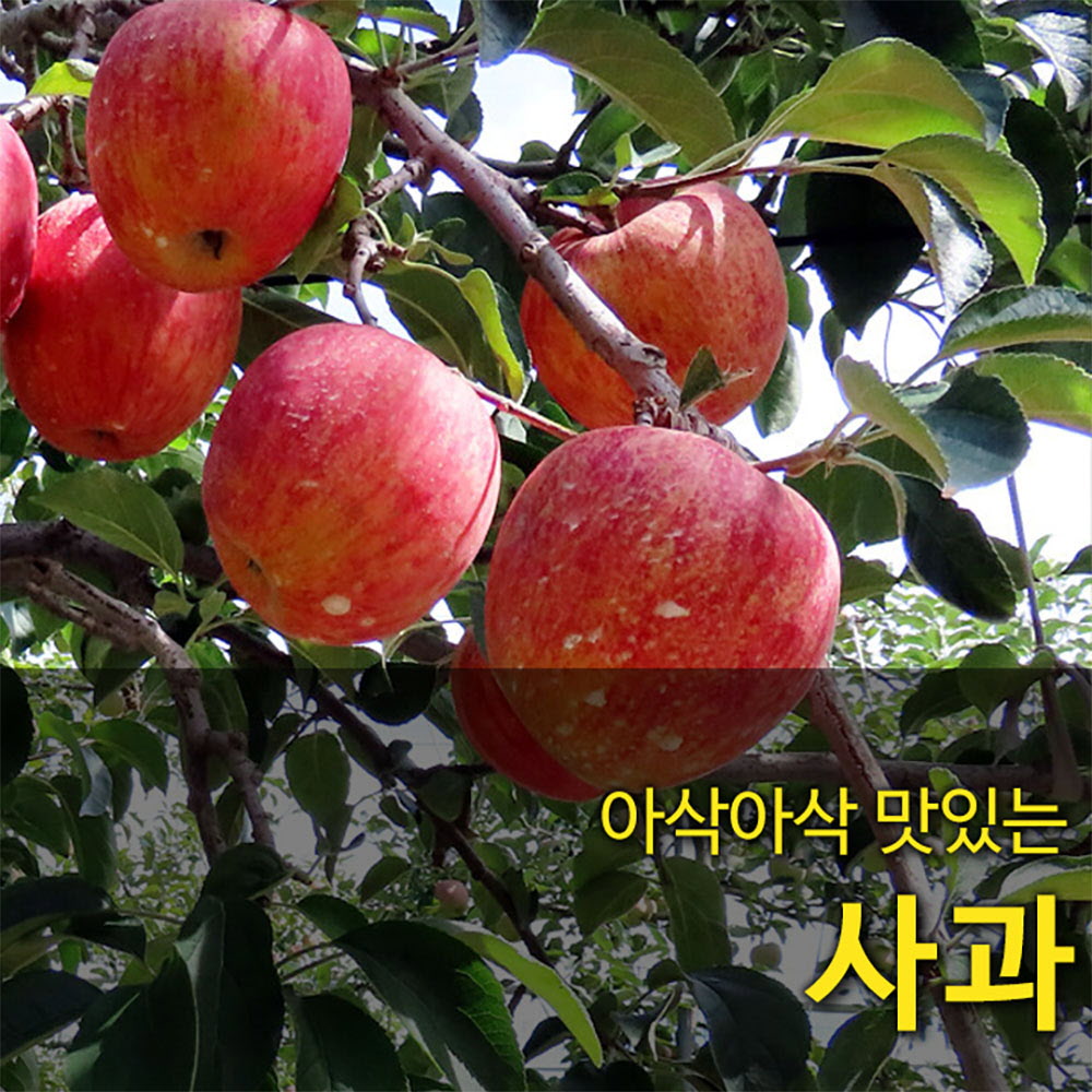 1665463094 thumbnail