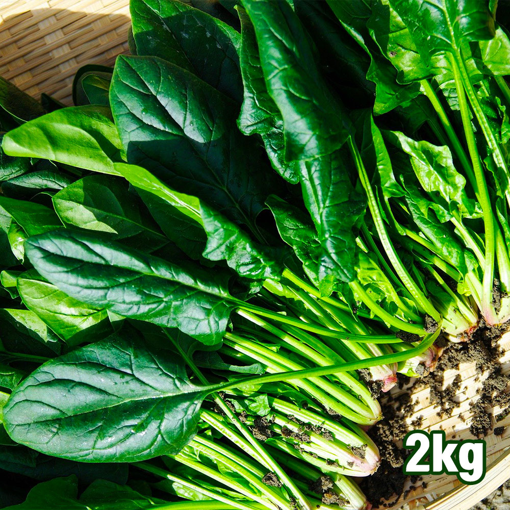 1665464965 thumbnail