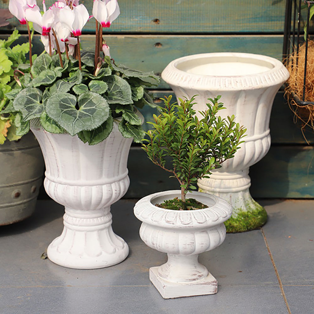 1665551403 thumbnail