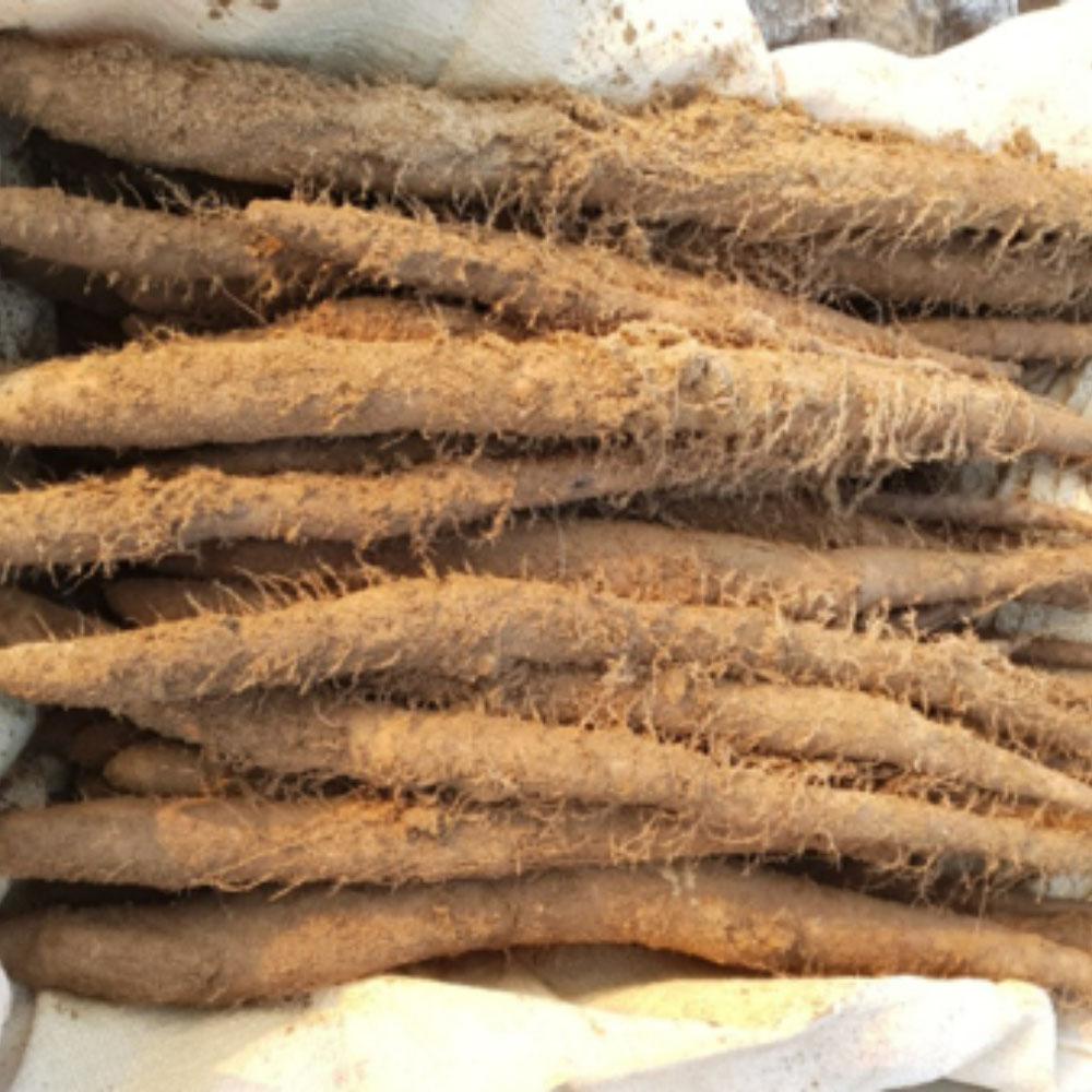 1665629799 thumbnail