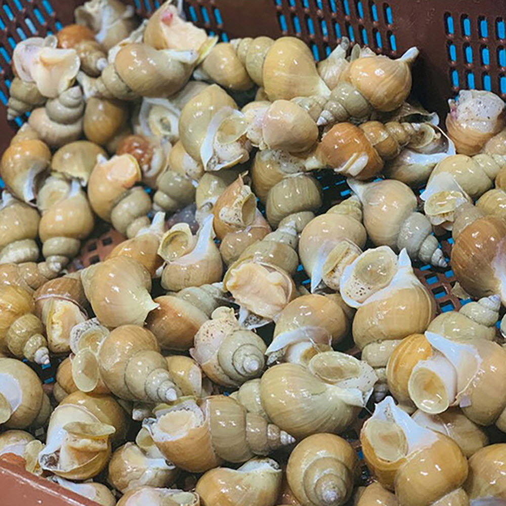 1665635745 thumbnail