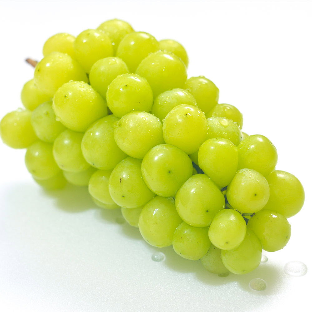 1665725456 thumbnail