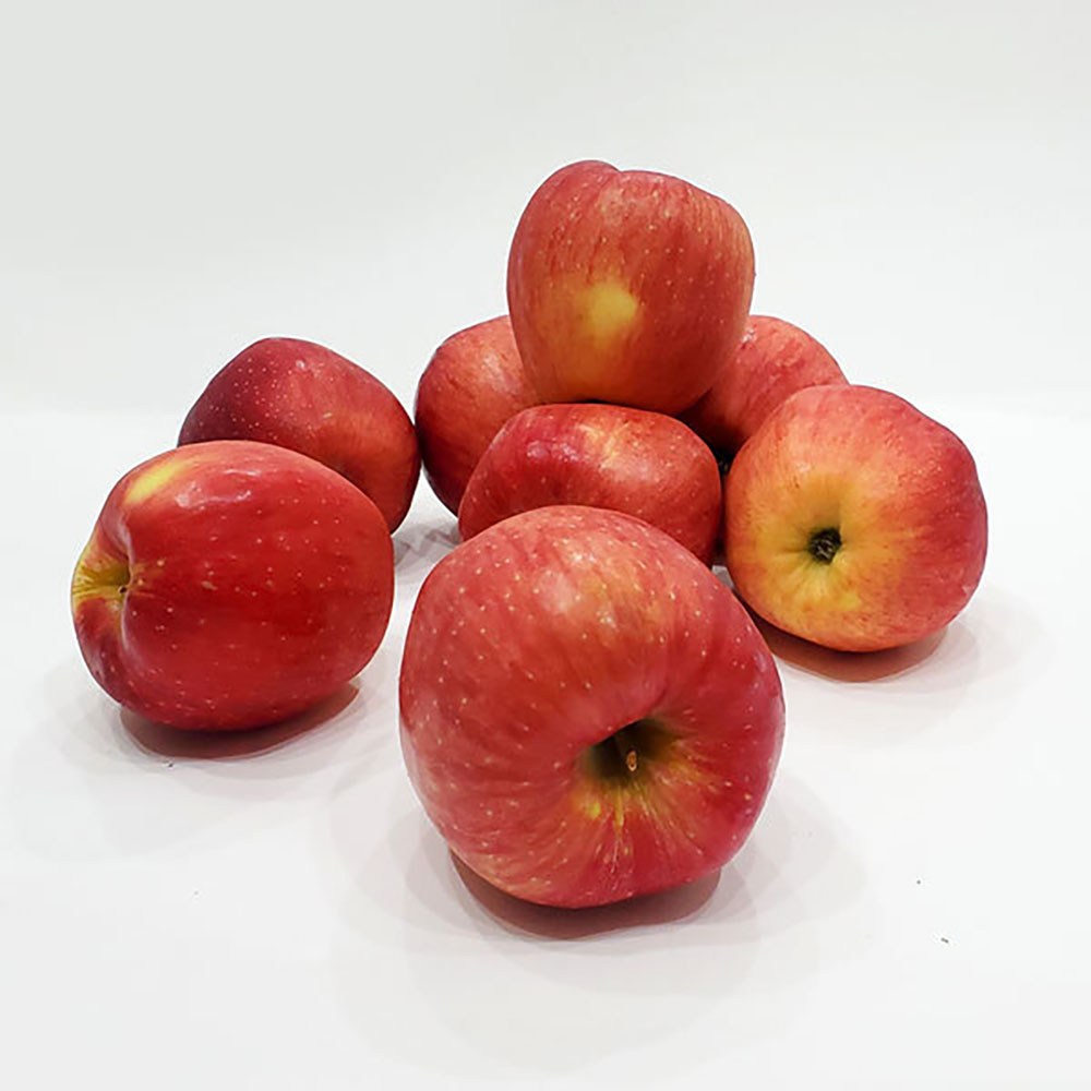 1665979694 thumbnail