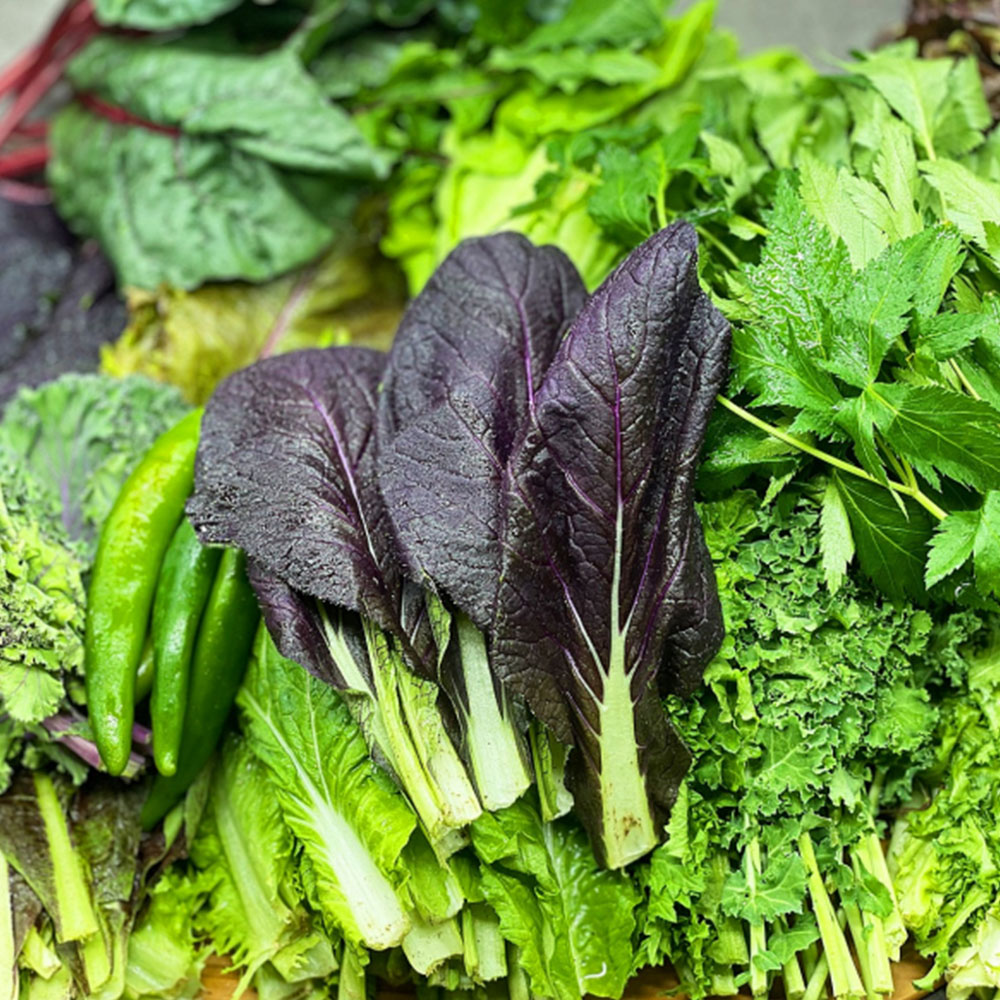 1666063920 thumbnail