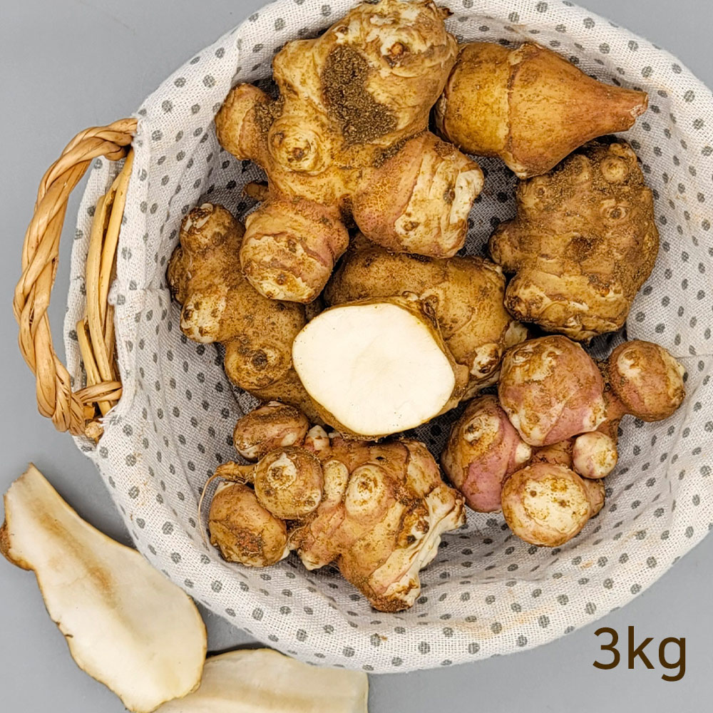 1666063922 thumbnail