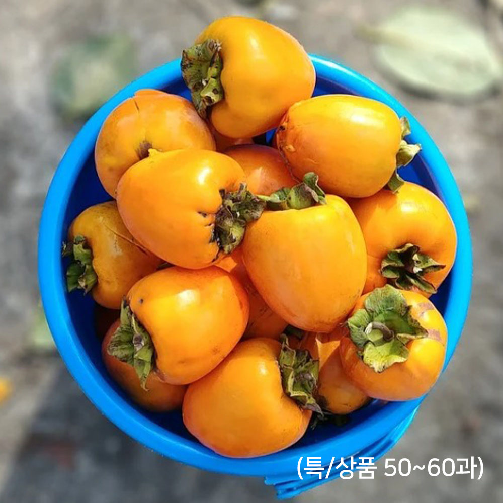 1666063923 thumbnail