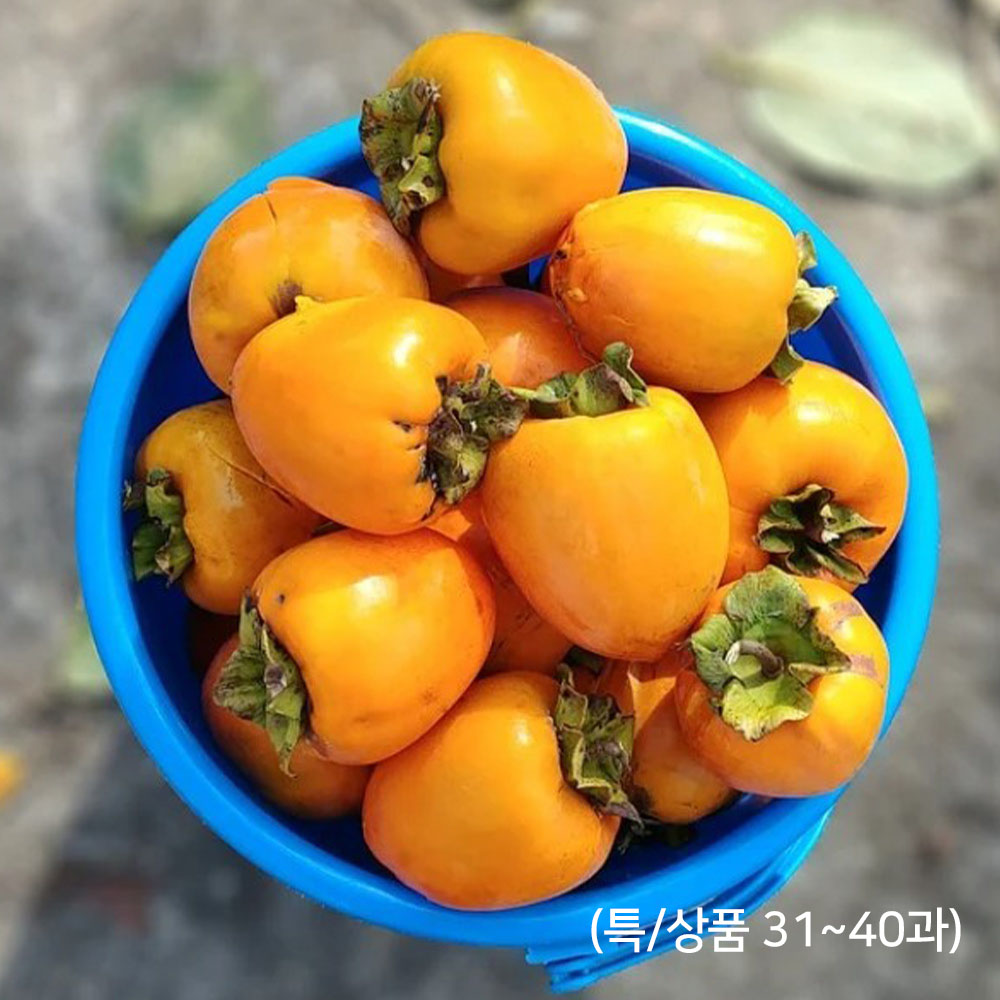 1666063925 thumbnail