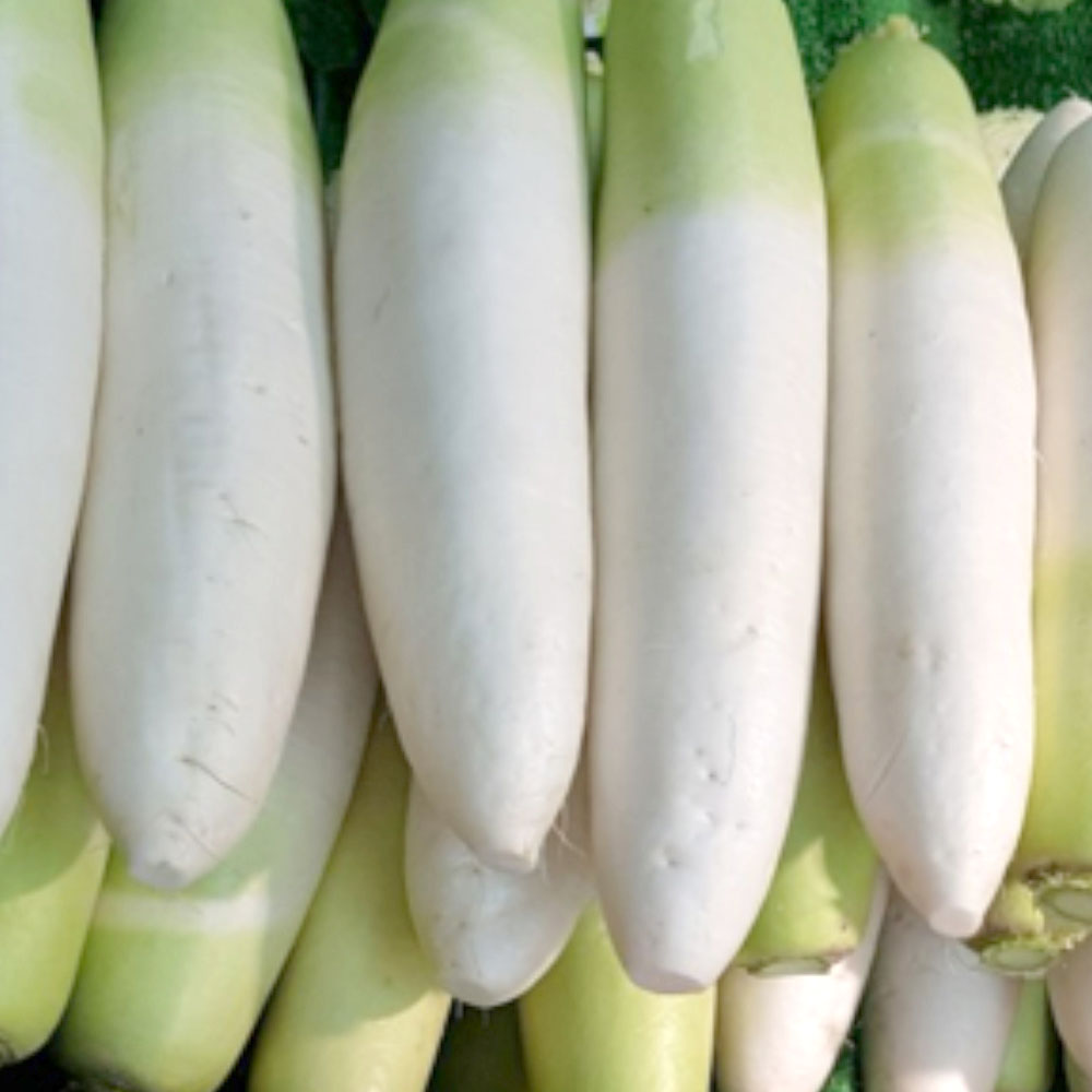 1666162943 thumbnail