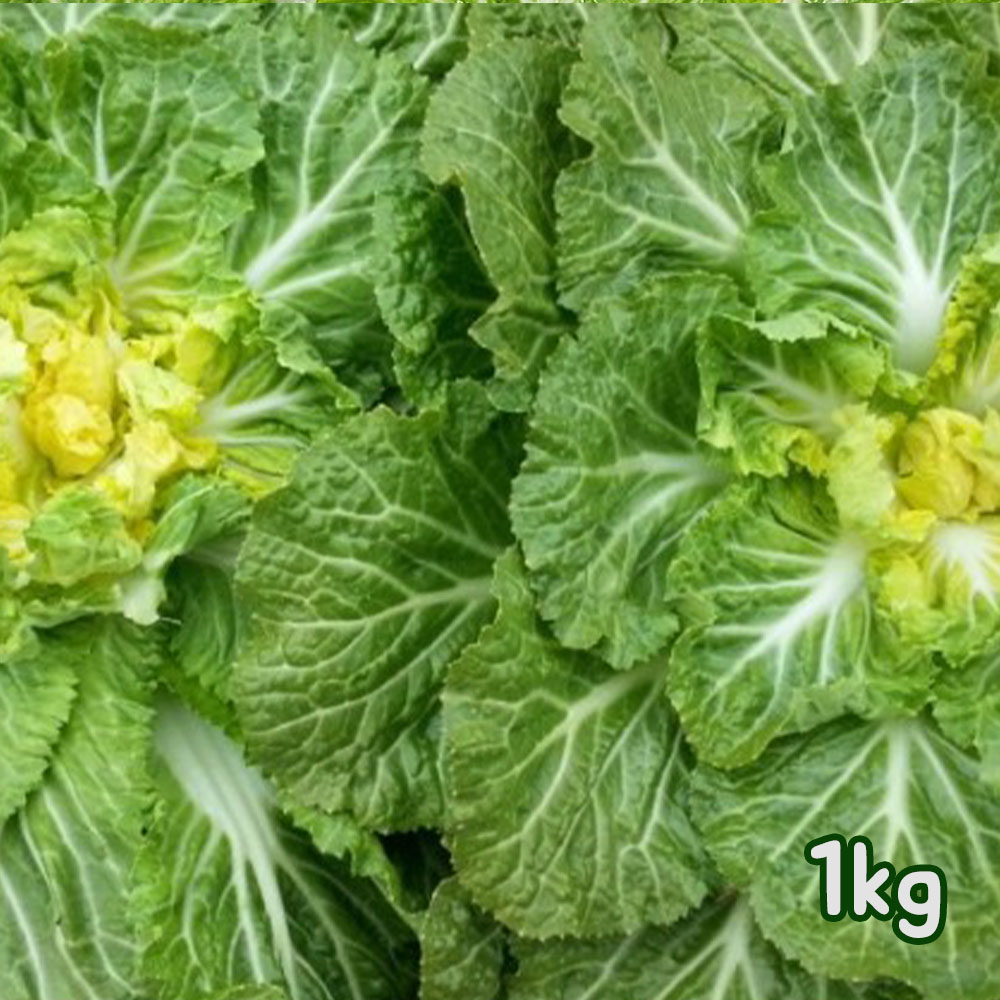 1666164880 thumbnail