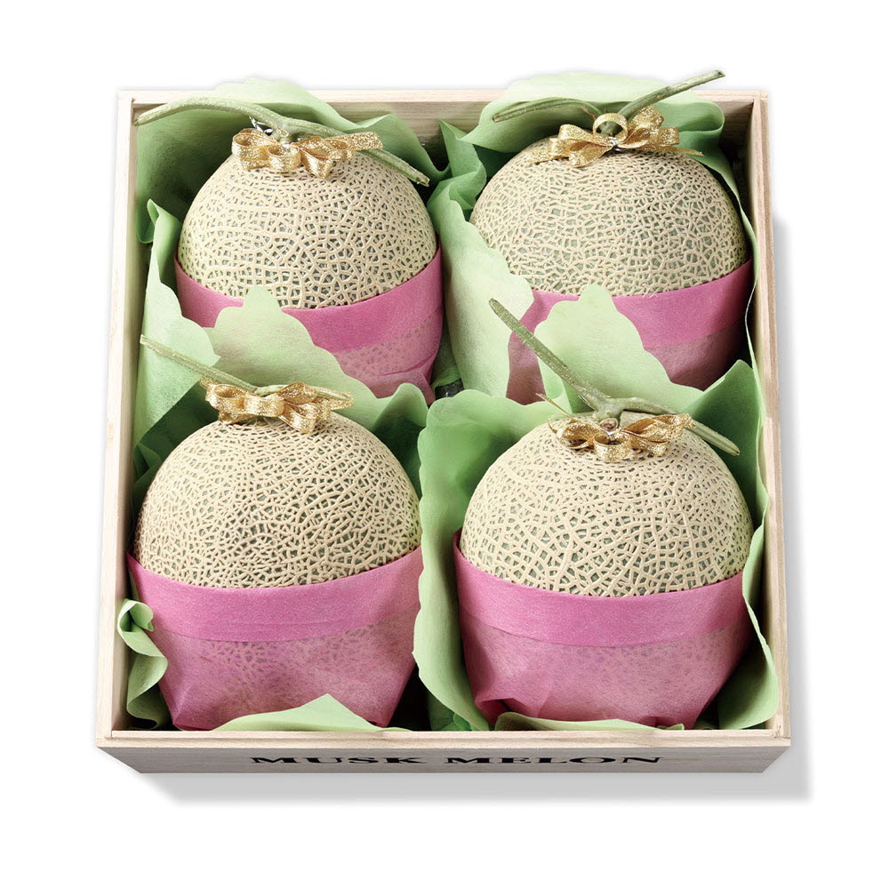 1666672376 thumbnail