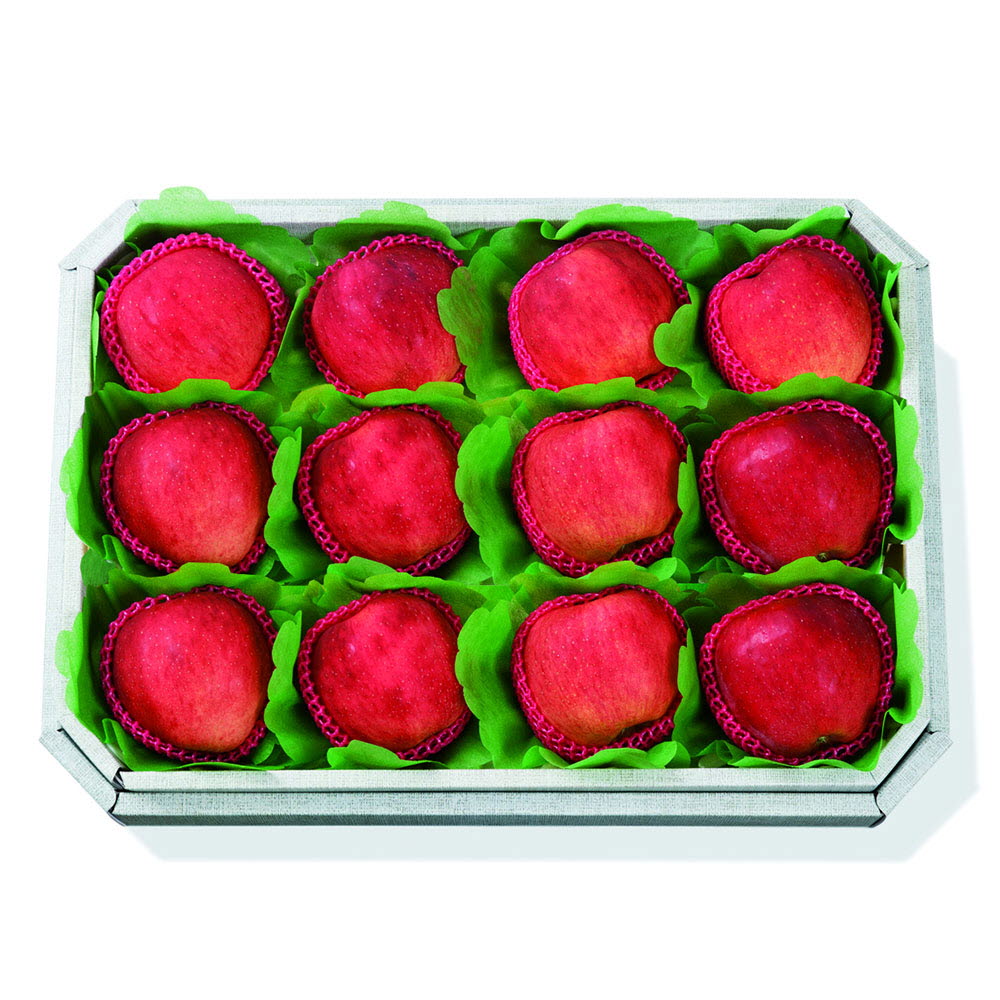 1666672381 thumbnail