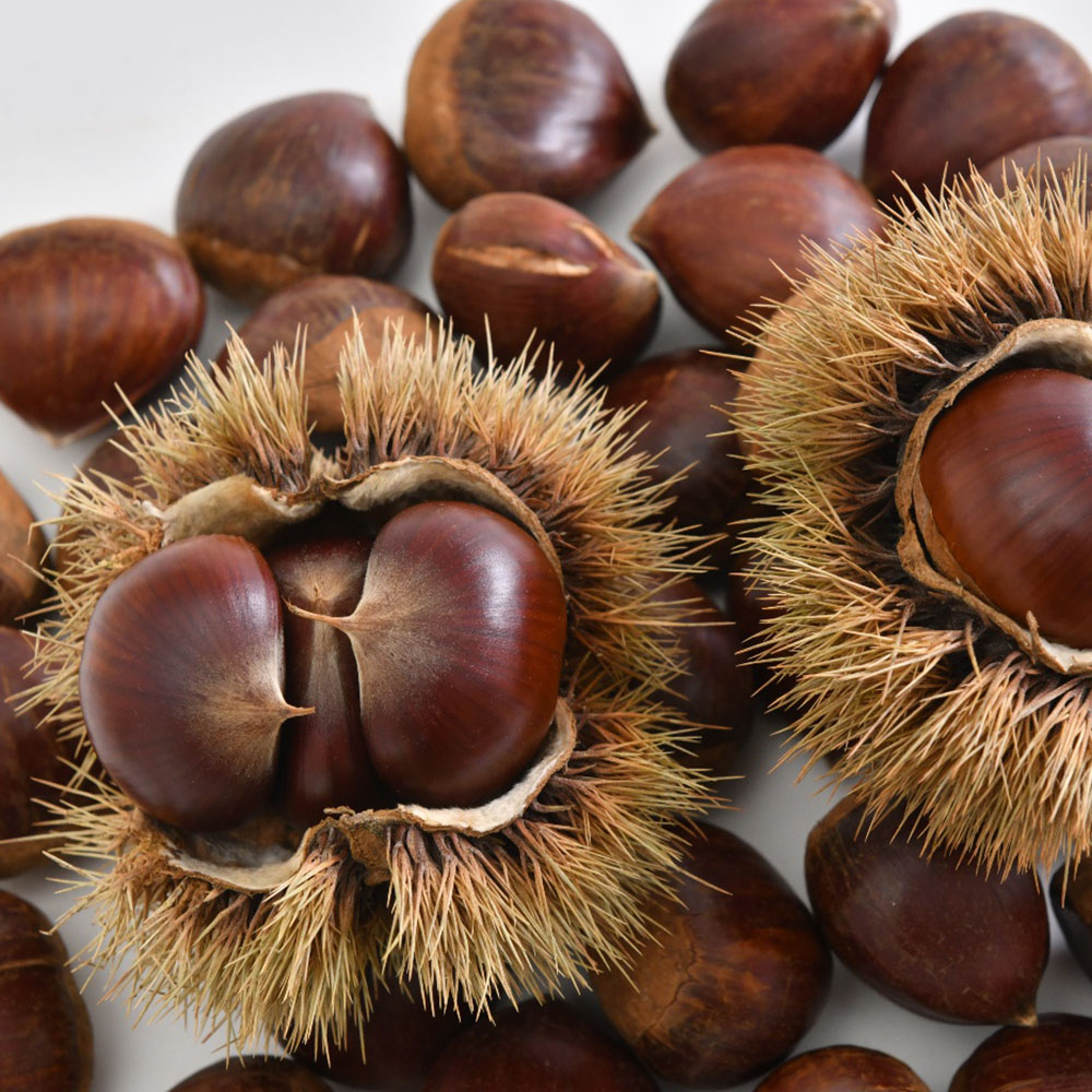 1666678425 thumbnail