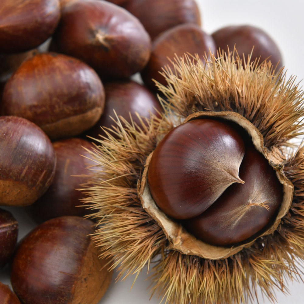 1666678426 thumbnail