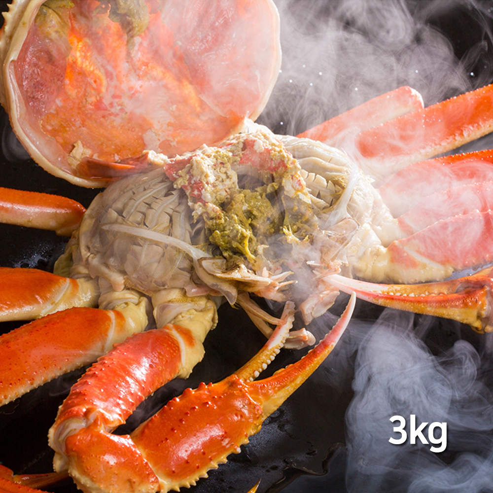 1666685451 thumbnail