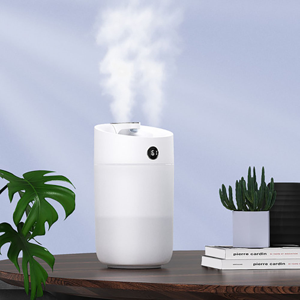 1667200147 thumbnail