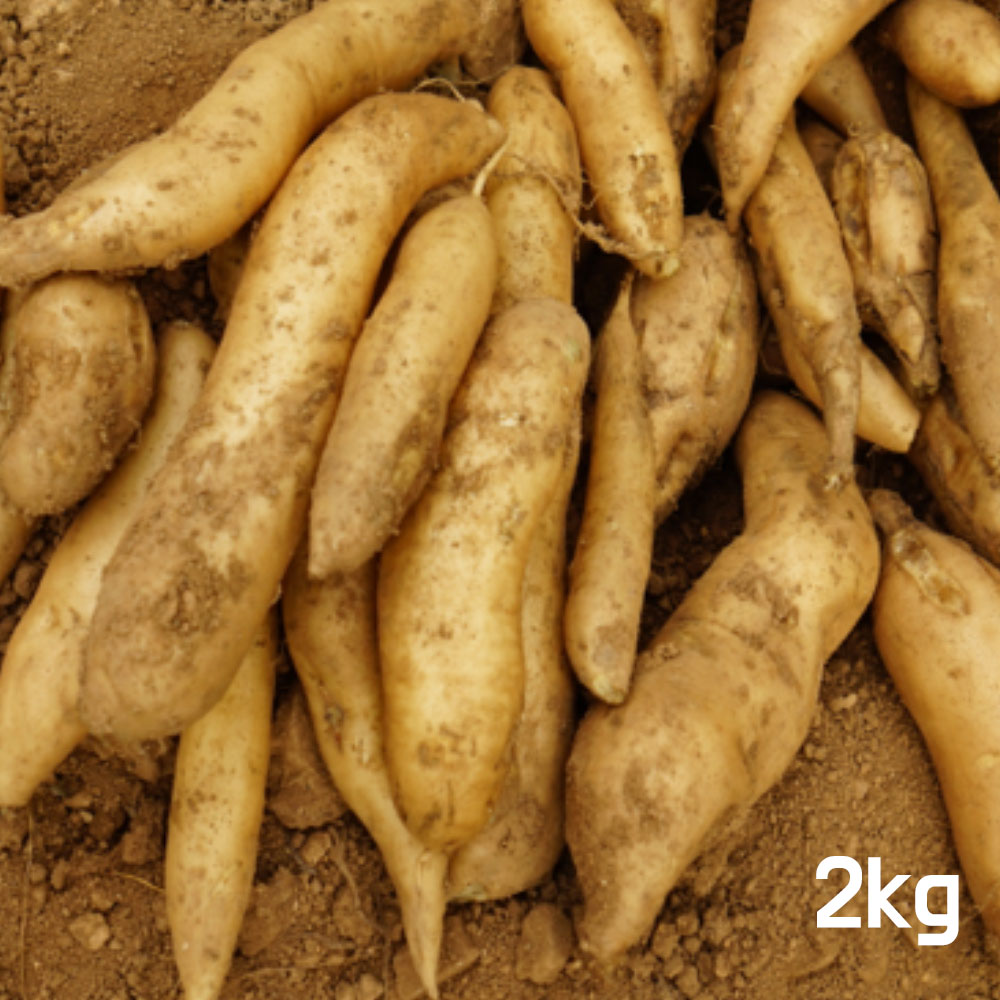 1667286253 thumbnail