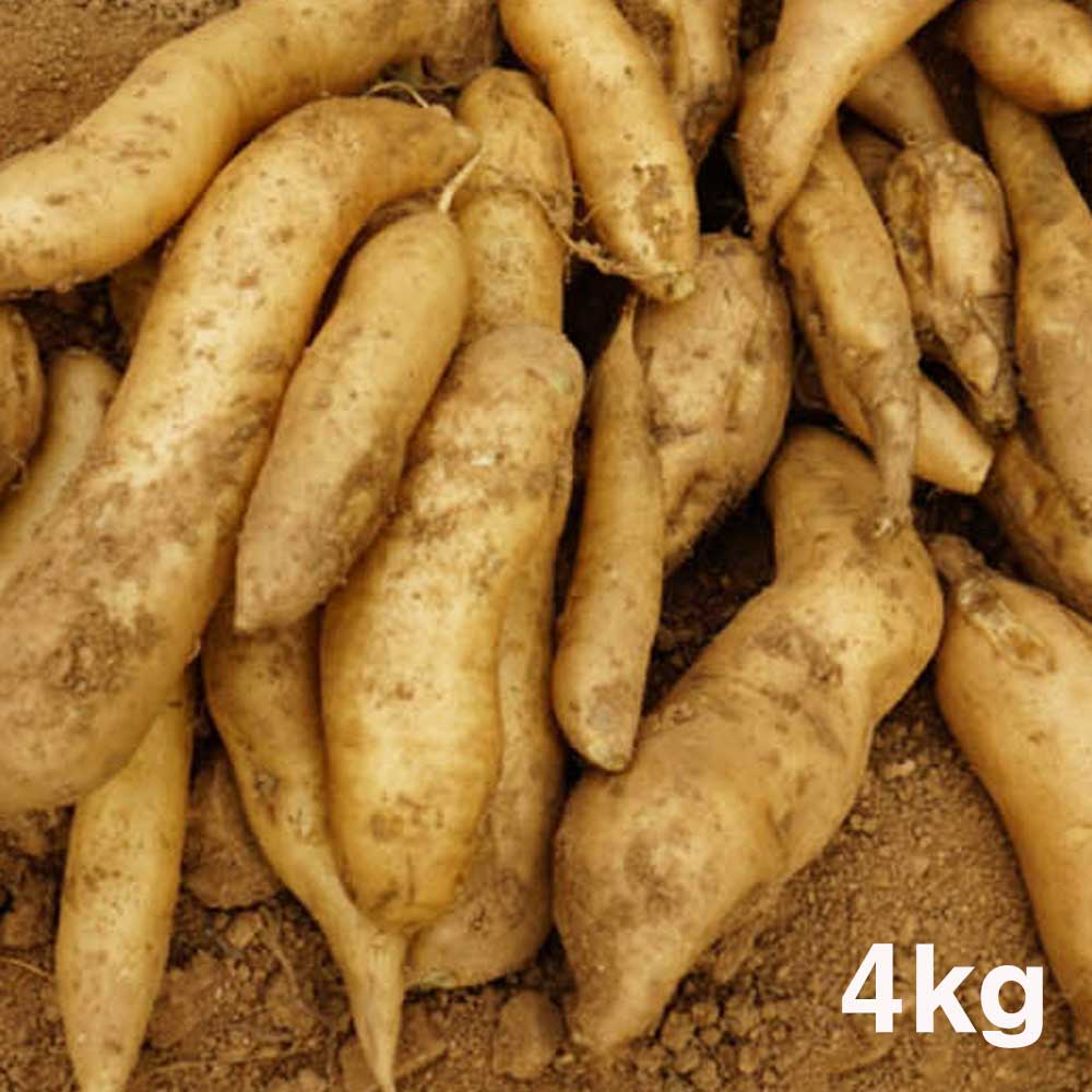 1667286254 thumbnail