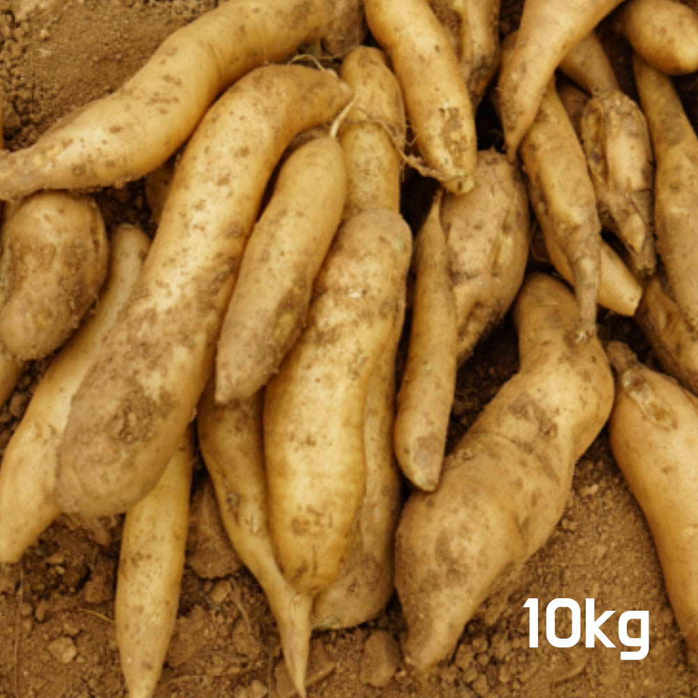 1667286255 thumbnail