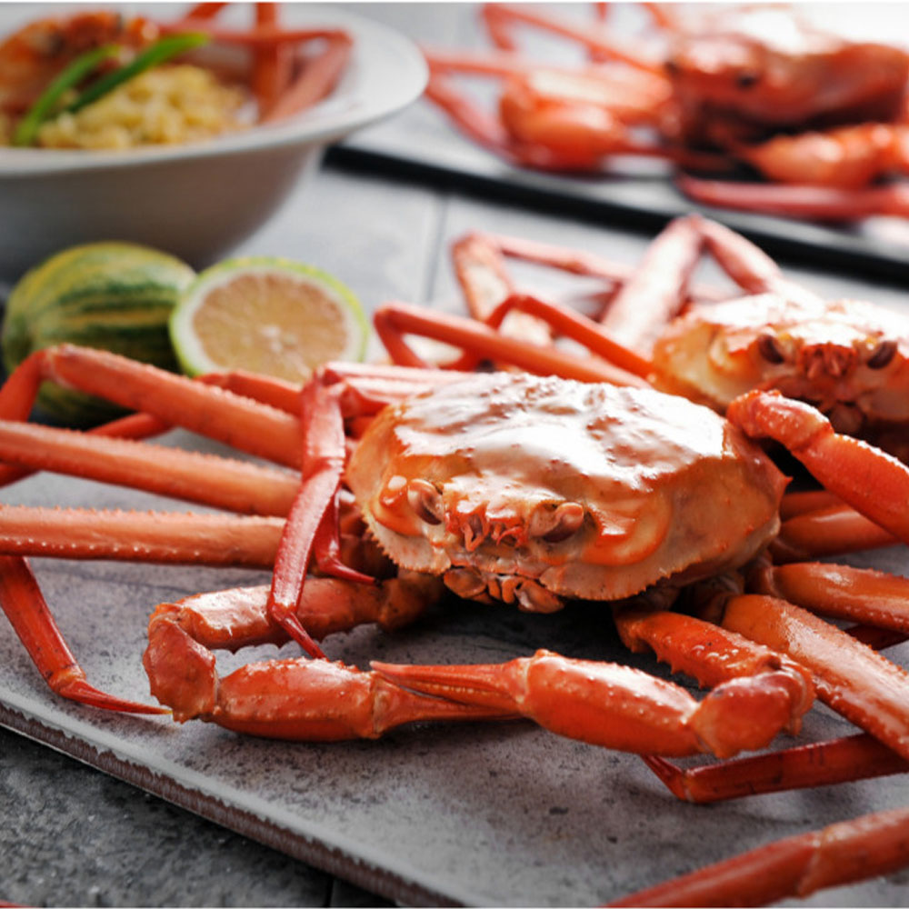 1667795128 thumbnail