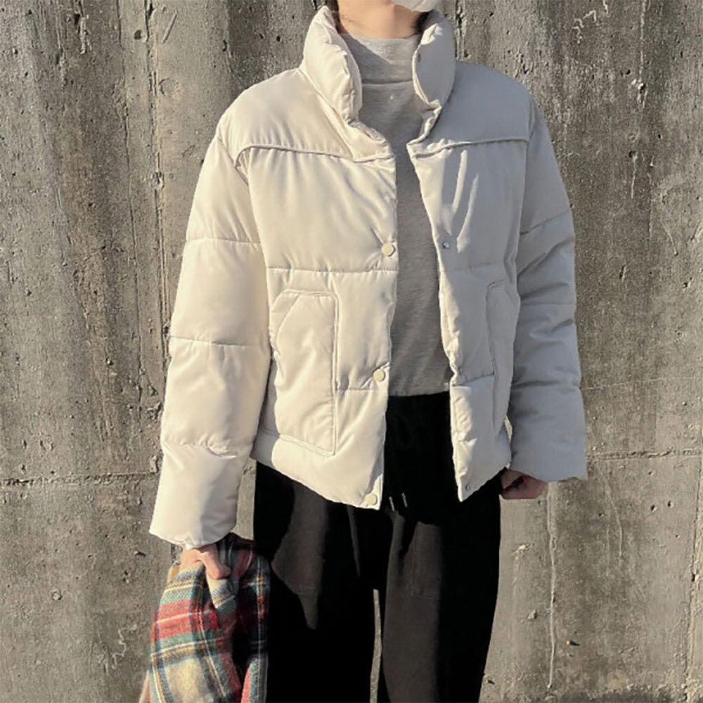 1667898351 thumbnail