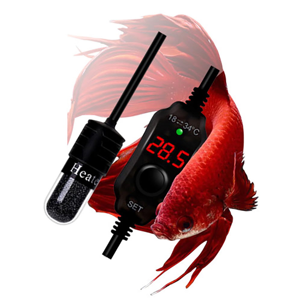 1668064716 thumbnail