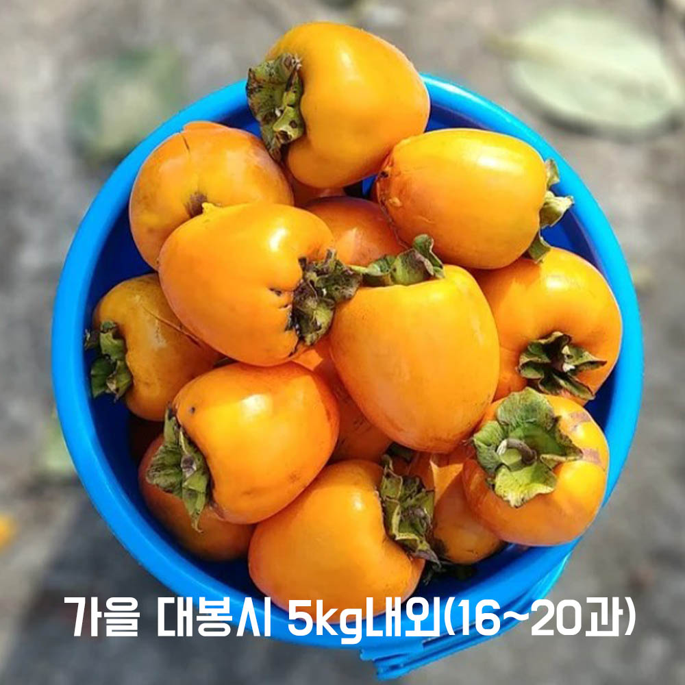 1668142405 thumbnail