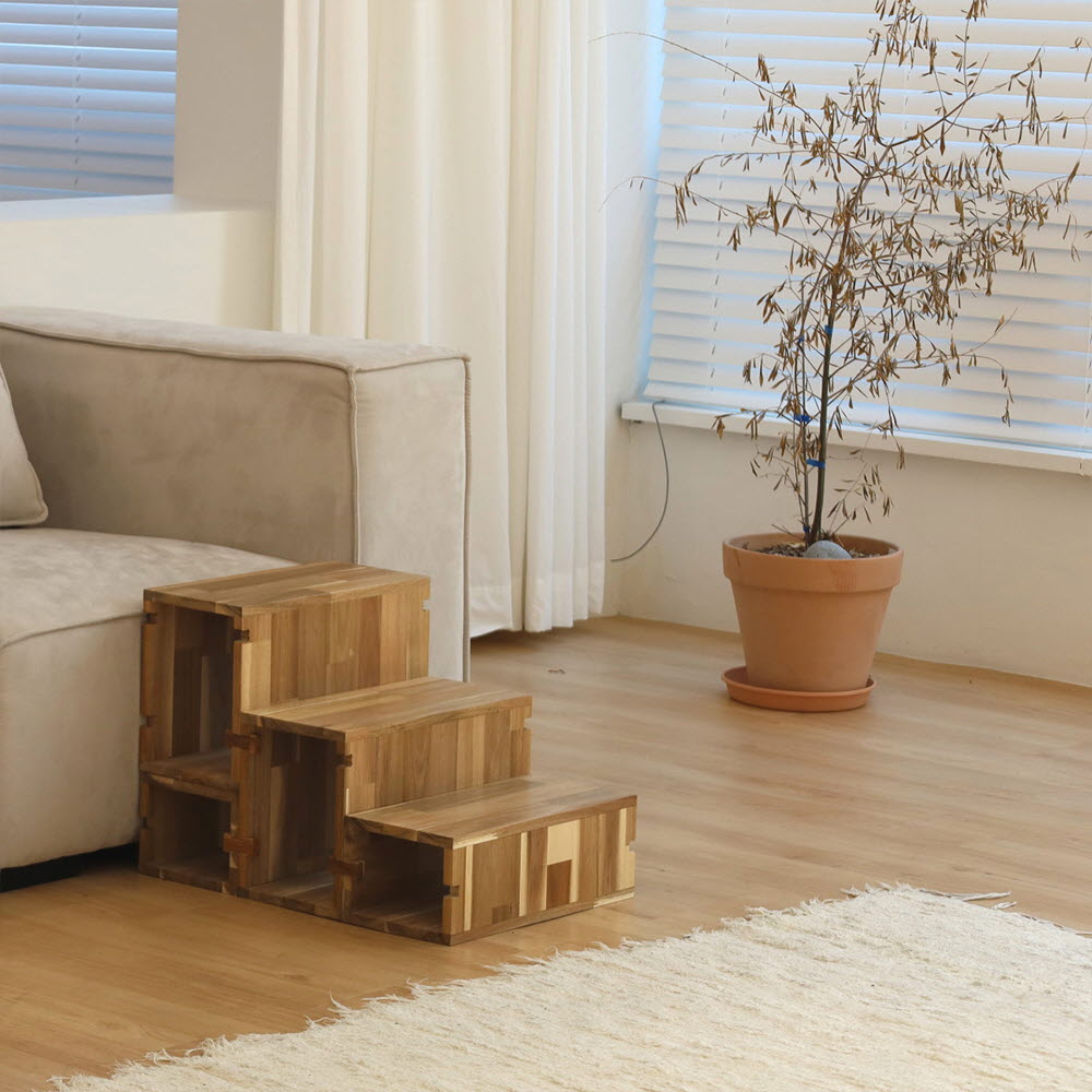 1668416598 thumbnail