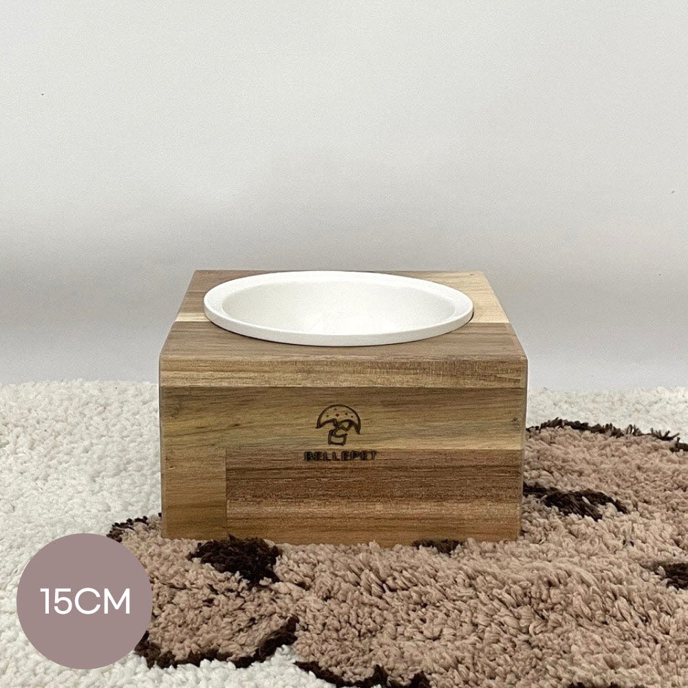 1668416606 thumbnail