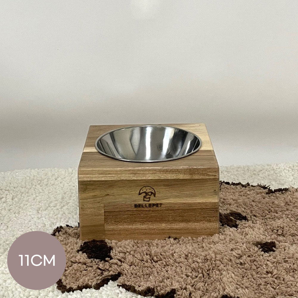 1668416608 thumbnail